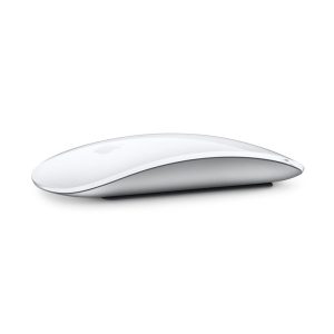 Apple Magic Mouse (OpenBox)
